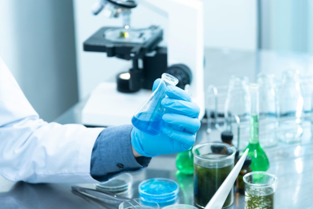 Investigadores estudiando la biología de la medusa inmortal