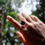 Diagrama del sistema traqueal en los insectos.