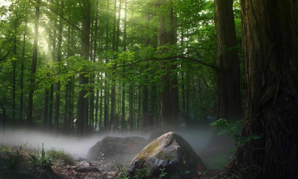 Uno de los lugares más enigmáticos del mundo.