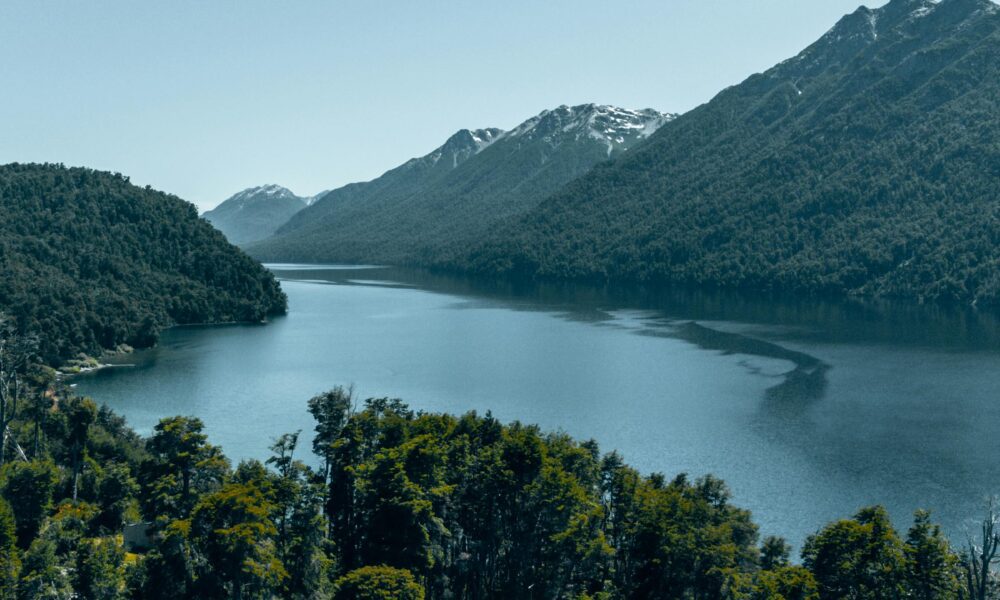 Baño de bosque en plena naturaleza