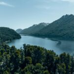 Baño de bosque en plena naturaleza